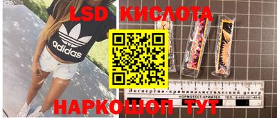 мдпв Славгород